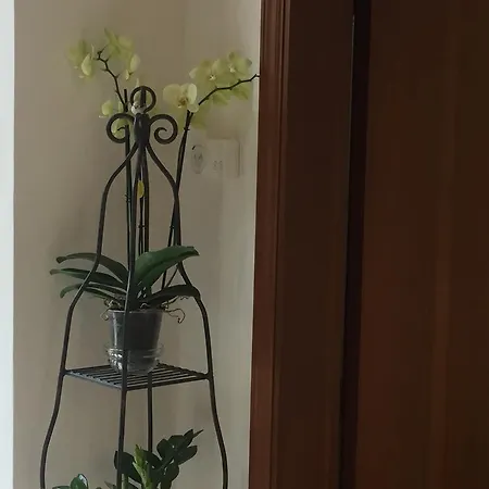 Green Флоренция